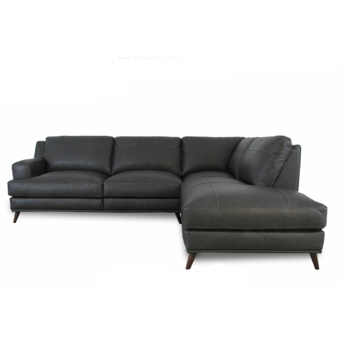 Diggio Leather Sectional