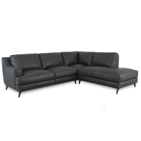 Diggio Leather Sectional