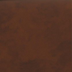 (F) 907-72 Pecan*