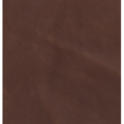 (S) Utah Chestnut