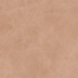 (A) Saloon Blush (Grade 120)*