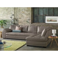 Bluma Leather Sectional