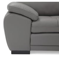 Bluma Leather Sectional