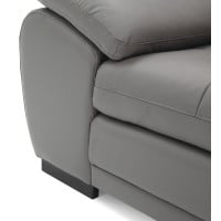 Bluma Leather Sectional