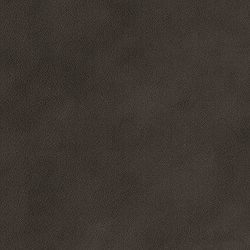 (M) City Graphite (Grade 1)
