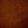 (A) Highlight Cognac (Grade 140)