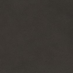 (M) Genoa Dove (Grade 2)