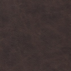 (G) Saloon Cigar (Grade 100)