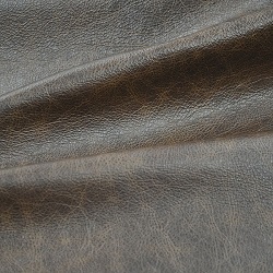(G) Ever-Last Robust Brown (Grade 100)