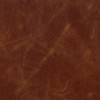 (G) Belmont Caramel (Grade 120)