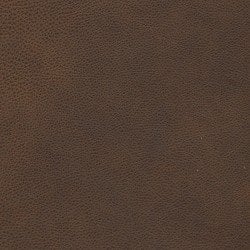 (M) Zander Cognac (Grade 3)