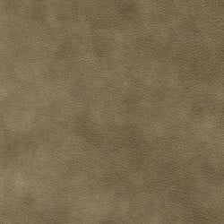 (M) Zander High Plains (Grade 3)