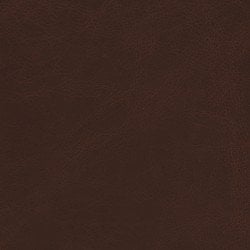 (M) Tavern Texas (Grade 3)