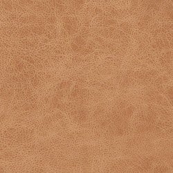 (M) Tavern Vanilla (Grade 3)
