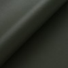 (B) Bali Basil (Grade 2000)