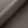 (B) Classic Sable (Grade 2000)