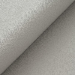 (B) Evoque Mist (Grade 3000)*