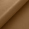(B) Rein Caramel (Grade 2000)