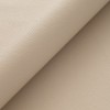 (B) Rein Parchment (Grade 2000)