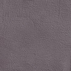 (V) Atollo Porpoise (Grade 40)