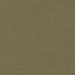 (V) Verona Apple Green (Grade 50)