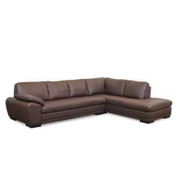 Bluma Leather Sectional