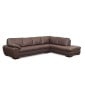 Bluma Leather Sectional
