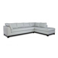 Sentry Leather Sofa or Set