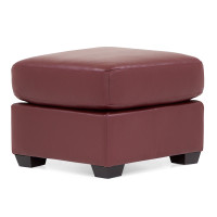 Larella Leather Sectional