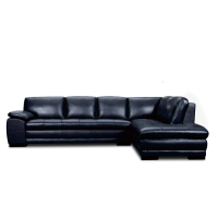 Giada Leather Sectional