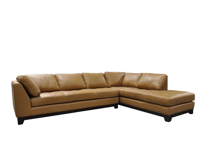 Sentry Leather Sectional